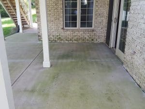 Patio Wash With Algae