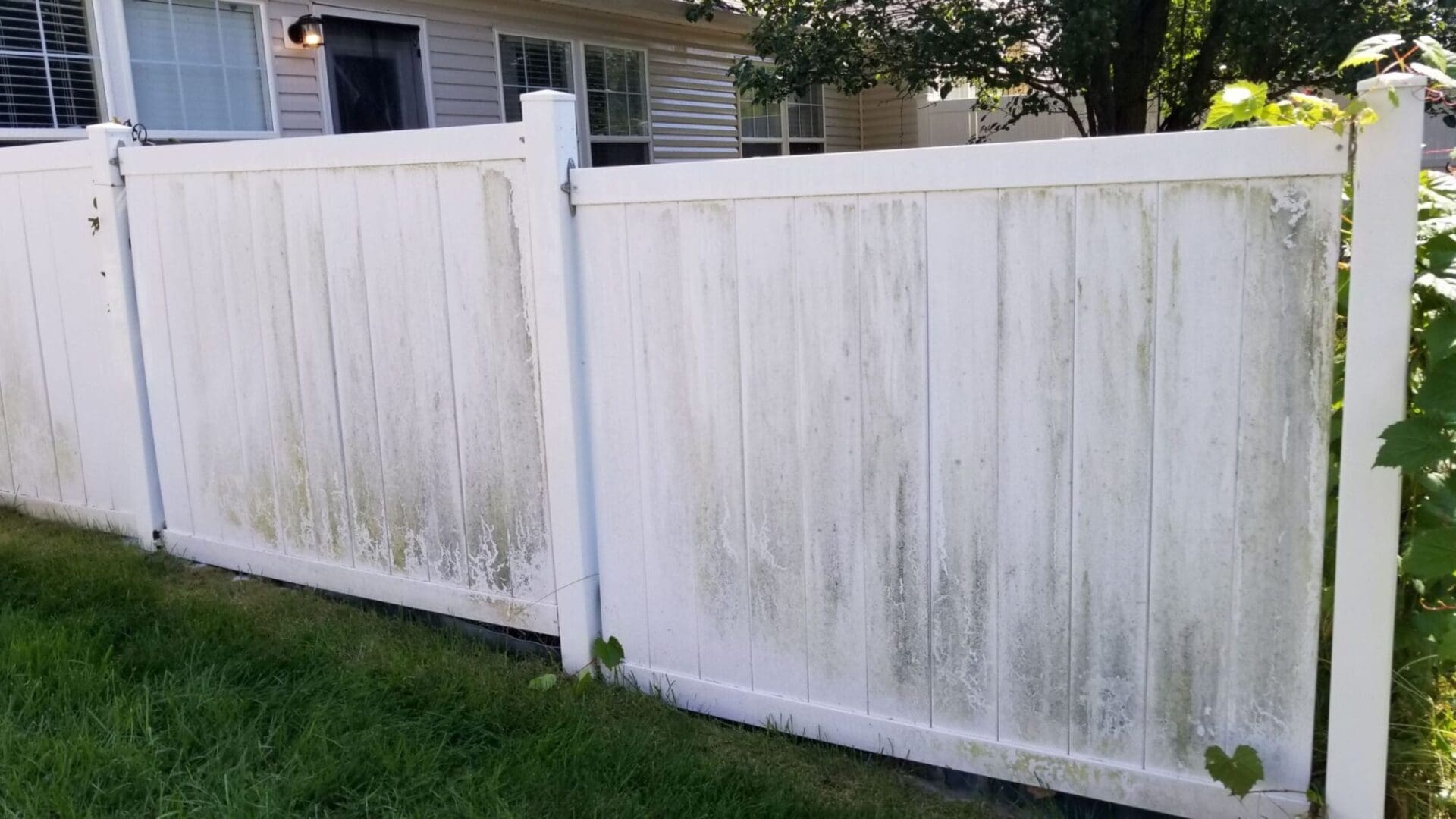 PVC Fence Before